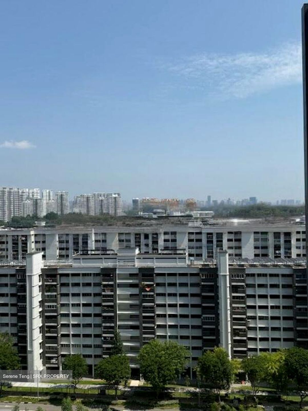 JadeScape (D20), Condominium #480732981